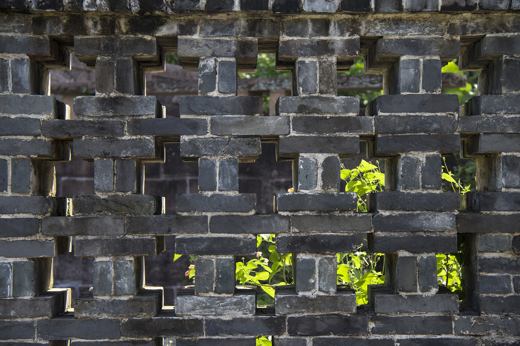 1536804021632810.jpg 11.jpg