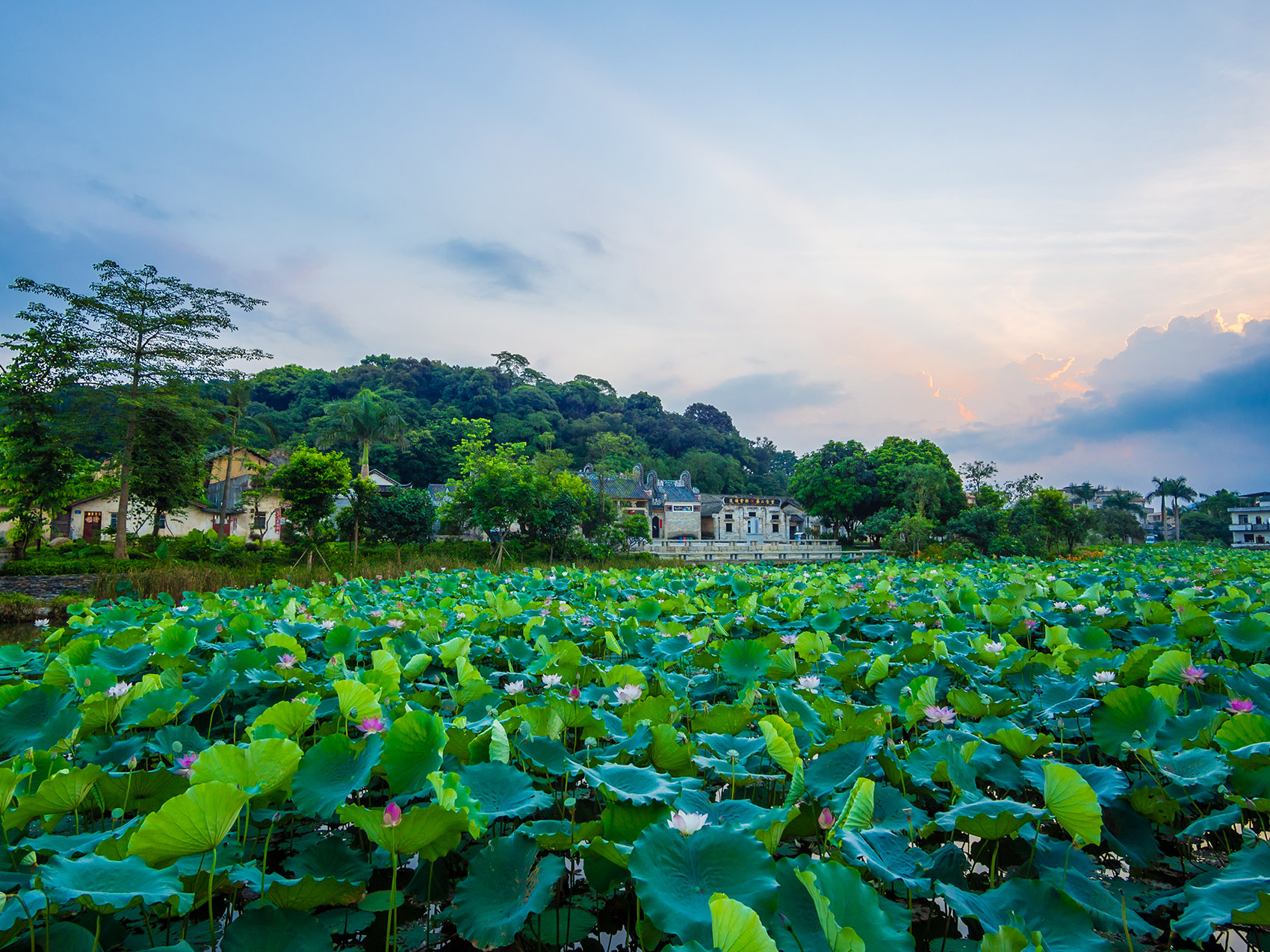 1536803978819926.jpg 7.jpg