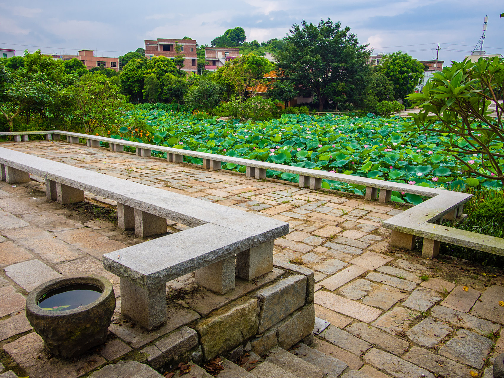 1536804004541698.jpg 9.jpg