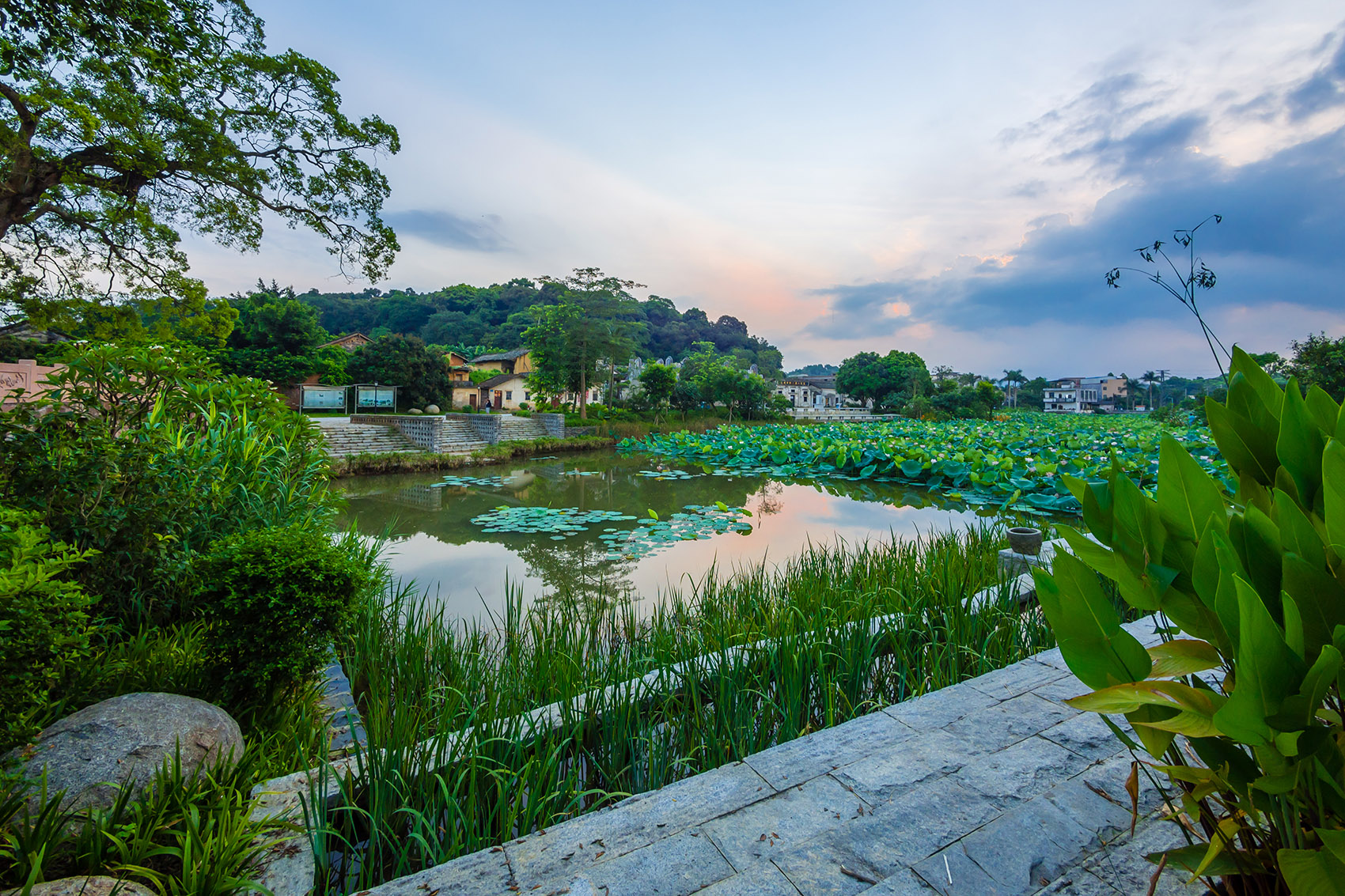 1536803986161501.jpg 8.jpg