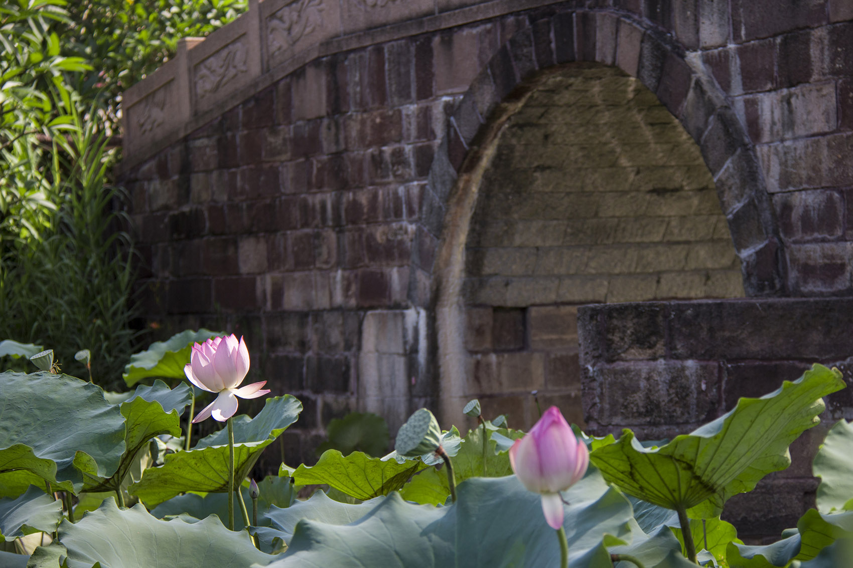 1536804093188853.jpg 16.jpg