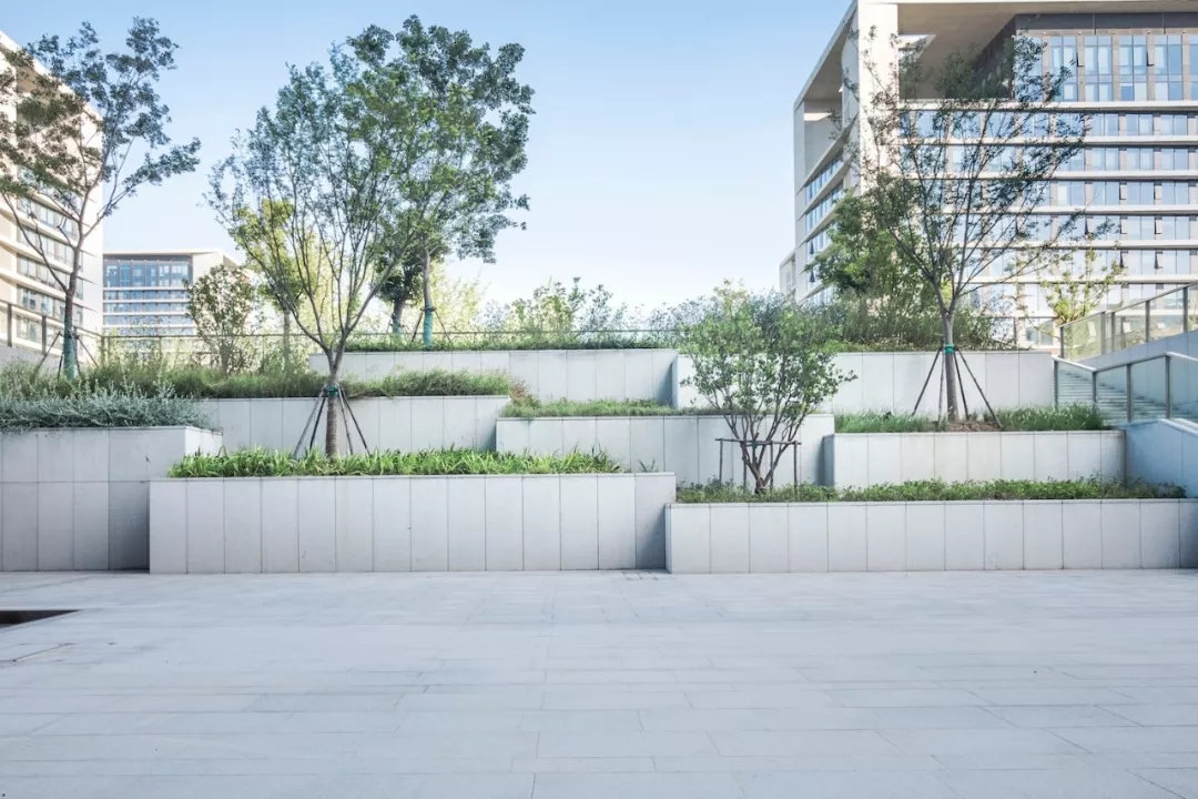 640.webp (1).jpg 640.webp (1).jpg