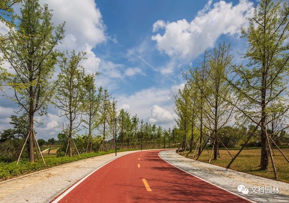 640.webp (24).jpg 640.webp (24).jpg