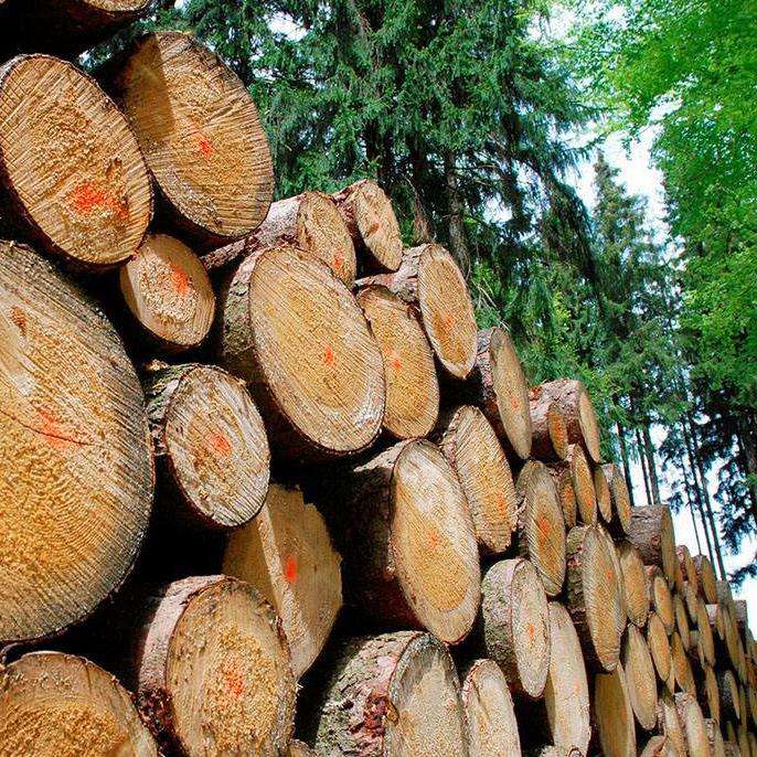 1564023065175602.jpg timg.jpg