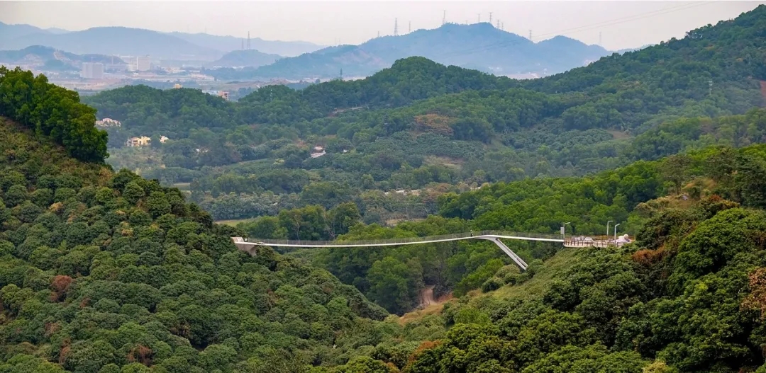 640.webp (26).jpg 640.webp (26).jpg